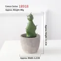 Artificial columnar cactus plant in grey cement pot, height 12.3cm for home decoration - Columnar-18918