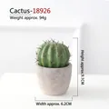 Artificial cactus plant in gray pot, 9.1cm height, 94g lifelike succulent decor - Cactus Ball-18926
