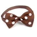 Dettaglio del farfallino per animali a pois marrone caffè con elastico resistente - Marrone a Pois Bianchi