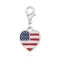 Colgante en forma de corazón con bandera de EE. UU. y cierre de mosquetón plateado - Estados Unidos
