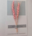 Set de 2 tallos de trigo seco rosa para decoración minimalista de floreros - Pegatinas grises 3 piezas / Gris