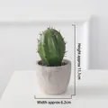 Realistic artificial cactus in a grey concrete pot, 11.1cm height decorative greenery - Cactus Ball-18922