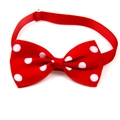 Detailed view of a red polka dot pet bowtie with adjustable strap on a white background - Red Polka Dot