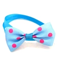 Close-up of a sky blue pet bowtie with pink polka dots and adjustable blue strap - Sky Blue Pink Polka Dot