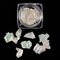 Irisierende Naturschelp-Fragmente für Nailart in runder Aufbewahrungsbox, Stil BKP-02 - BK02 / Irisierendes Gold