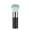 Draagbare grote poederkwast met mintgroene kleurverloop en zwarte matte steel - Muntgroen Verloop (Portable Loose Powder Green)