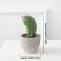 Artificial cactus plant in gray cement pot for Nordic home decor, 11.5cm height - Columnar-18920