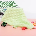 Light green soft plush baby security blanket with colorful sensory ribbon tags - Green