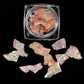 Pink iridescent natural shell fragments for nail art in transparent storage jar - Pink Rainbow