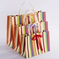 Set of three colorful striped gift paper bags with rivet handles and decorative bows - Multi-Color Stripe With Bow Rivet Style / Small 28*20*10CM