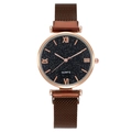 Elegant rose gold starry sky dial watch with magnetic mesh band and Roman numerals - Coffee