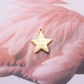 Dettaglio ciondolo a stella dorato con incisione 'you love you' su piume rosa sfumate - 4# Stella Grande