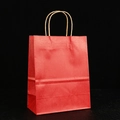 Vertical view of a red kraft paper gift bag with brown twisted handles on black background - 130g Russian Kraft / Small Vertical 21x15x8cm / Dark Red
