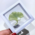 Elegant green ginkgo leaf brooch with white pearl in a gift box display - Green Ginkgo Leaf Style (XZ067)