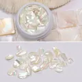 Paillettes de nacre blanche baroque irisées pour décoration d'ongles style 01# - 01# Blanc Irisé