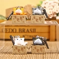 Set of four 3D cartoon cat keychains in miniature boxes with a warm wooden background - Dust Plug / Seeking Adoption Cat