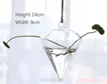 Hanging diamond-shaped glass vase for hydroponic plants with jute rope 14x9cm - Diamond Shape