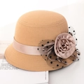 Retro camel wool felt cloche hat for women with elegant ribbon flower and mesh veil - One Size / Beige