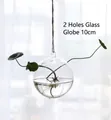 Hanging clear 10cm glass globe vase with 2 holes for hydroponic plants and greenery - 2-Hole 10cm Ball