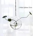 Hanging 15cm spherical glass vase with 2 holes for hydroponic plants and home decoration - 2-Hole 15cm Ball
