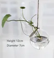 Hanging gourd-shaped glass hydroponic vase with hemp rope, size 12cm height by 7cm diameter - Gourd