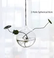 Hanging spherical glass terrarium with double side holes for hydroponic plants, 8cm diameter - 2-Hole 8cm Ball