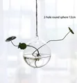 Hanging 12cm spherical glass vase with two holes for hydroponic plants and greenery - 2-Hole 12cm Ball