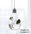 Hängende Glasvase in Glühbirnenform für Hydrokultur, 14cm x 8cm mit silbernem Verschluss - Glühbirne