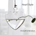 Hanging heart-shaped glass hydroponic vase for plants, 11cm height by 10cm diameter - Heart
