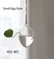 Kleines eiförmiges Hydrokultur-Glasgefäß zum Aufhängen mit Hanfseil, 11 cm x 7 cm - Kleine Eiform