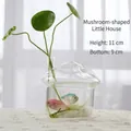 Mushroom-shaped clear glass hydroponic vase for plants and small fish, 11cm height - Mushroom House