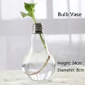 Bulb shaped glass hydroponic vase with 14cm height and 8cm diameter for plants - Bulb Shape