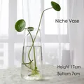 Handmade clear glass hydroponic vase with narrow neck, 17cm height for home decor - Inward Neck Bottle