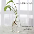 Handmade slanted neck glass vase for hydroponics with 12cm height and 4.5cm diameter - Crooked Neck