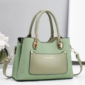 Elegant light green pleated leather handbag with gold hardware and dual carry straps - Green