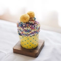 Colorful coral fleece cake socks with yellow pom-poms in a decorative cupcake paper cup - One Size / Bright Yellow