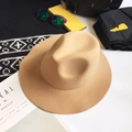Classic khaki wool felt fedora hat with wide brim for a vintage fashion look - Camel