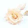 Elegant champagne cream artificial rose hair clip with natural seashell on white wood - Champagne