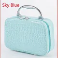 Sky blue crocodile texture vanity case with silver metal handle and double zipper lock - Blue