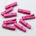Eight small pink wooden pegs for photos and home decor with metal springs on white background - Rose Red
