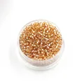 2mm golden glass seed beads for DIY jewelry making in a clear round storage box - Silver Champagne