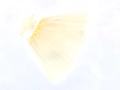 Detail of beige chiffon tutu skirt and matching floral headband for infant photography - Beige