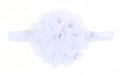 Top macro view of a white elastic baby headband featuring a delicate chiffon flower - White