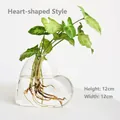 Clear heart-shaped glass hydroponic vase with green plant measuring 12cm in width - Heart Shape