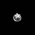 Horquilla en espiral plateada con motivo de flor y cristales transparentes - 4# Estrella de Diamantes de Imitación
