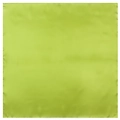 Elegant bright green square satin silk scarf for women in a smooth solid finish - Green