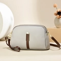Minimalist beige shell crossbody bag in lychee leather with gold hardware and strap - Gray