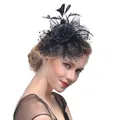 Detail van vintage zwarte fascinator hoed met veren en stijlvolle polkadot mesh sluier - Zwart
