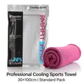 Pink cooling sports towel 30x100cm with waterproof zipper pouch and mesh texture fabric - Rose Red