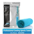 Blue cooling sports towel with honeycomb mesh texture and 30x100cm zipper pouch packaging - Sky Blue